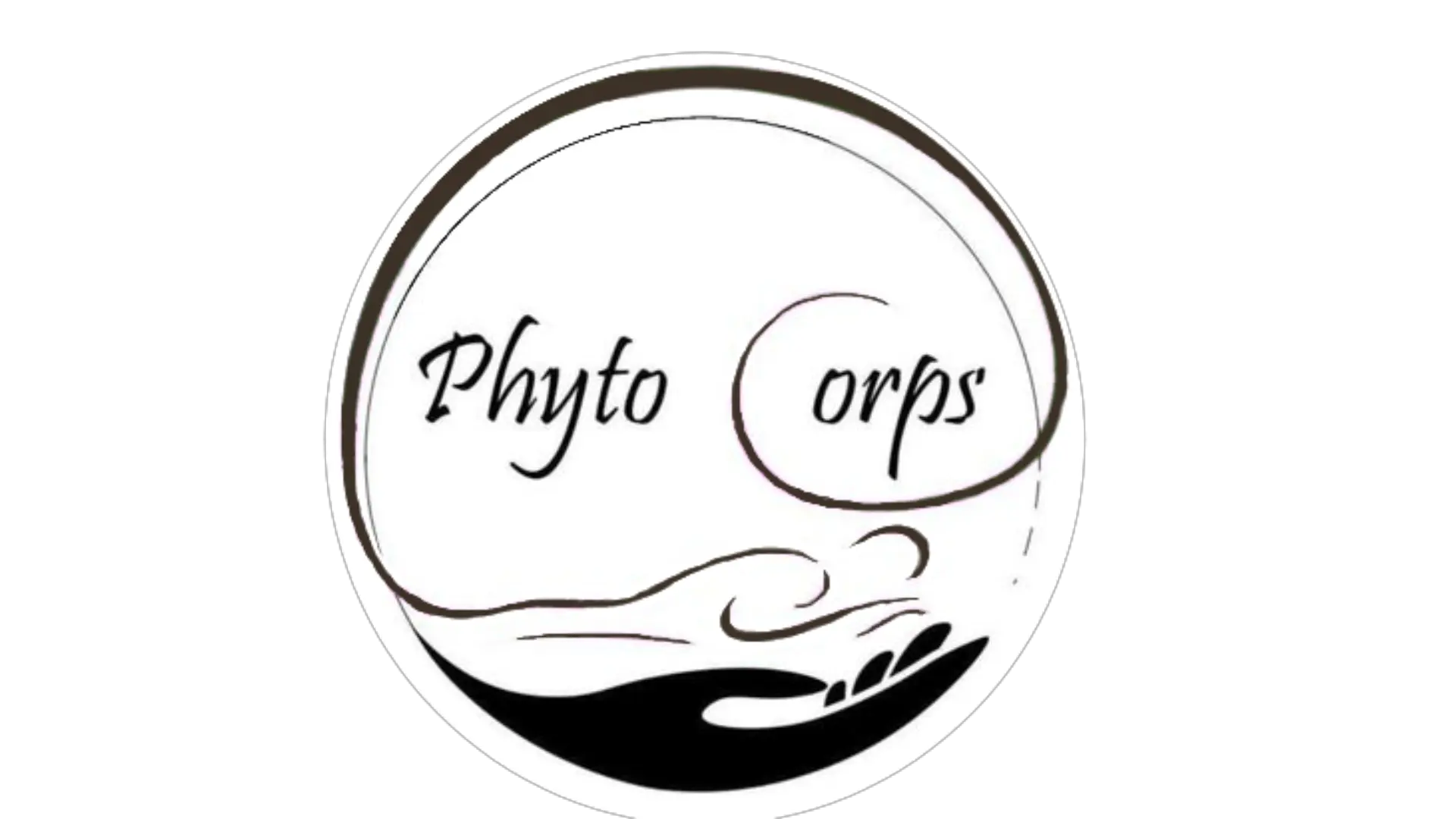 My Website